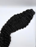Burmese Curly